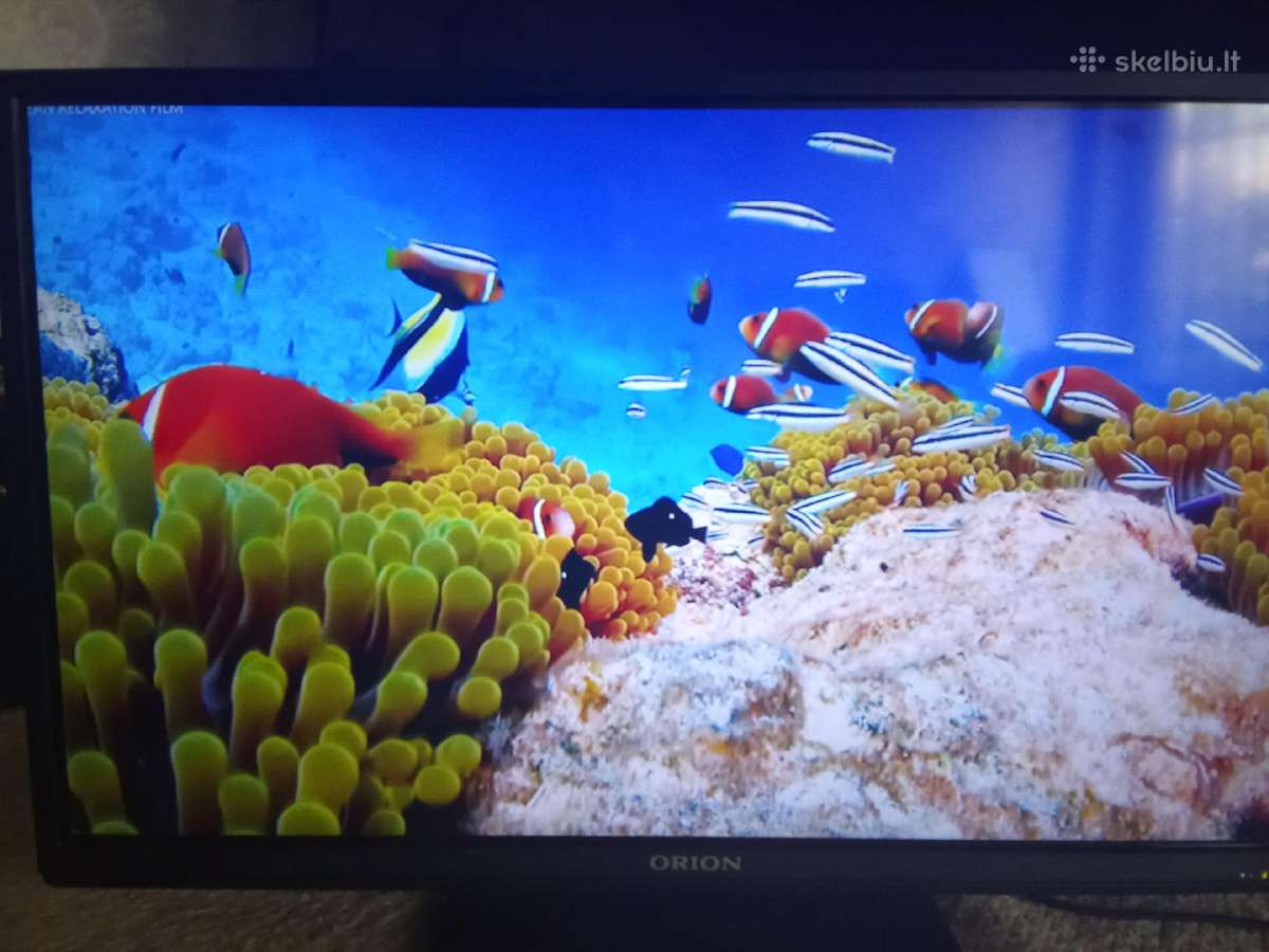 Orion Tv24lb995 LED 61cm. - nuotraukos Nr. 7