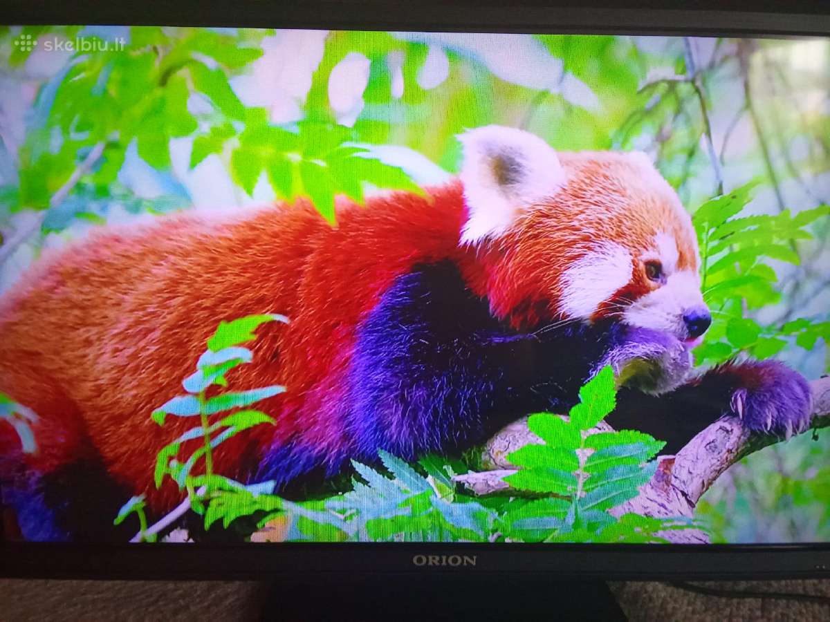 Orion Tv24lb995 LED 61cm. - nuotraukos Nr. 4