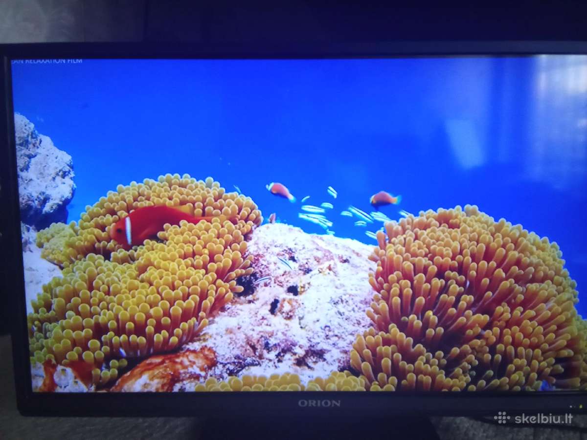 Orion Tv24lb995 LED 61cm. - nuotraukos Nr. 12