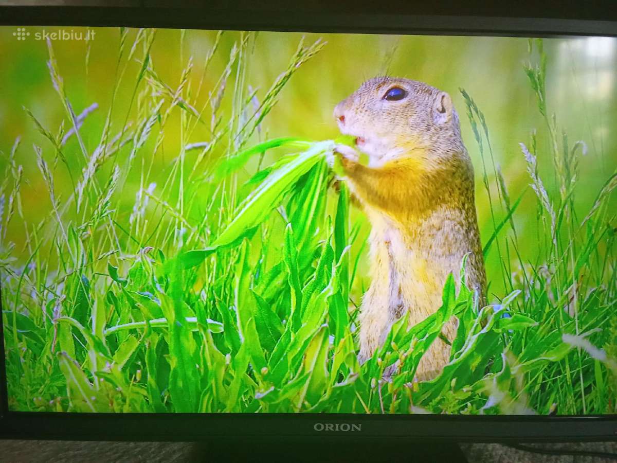 Orion Tv24lb995 LED 61cm. - nuotraukos Nr. 14
