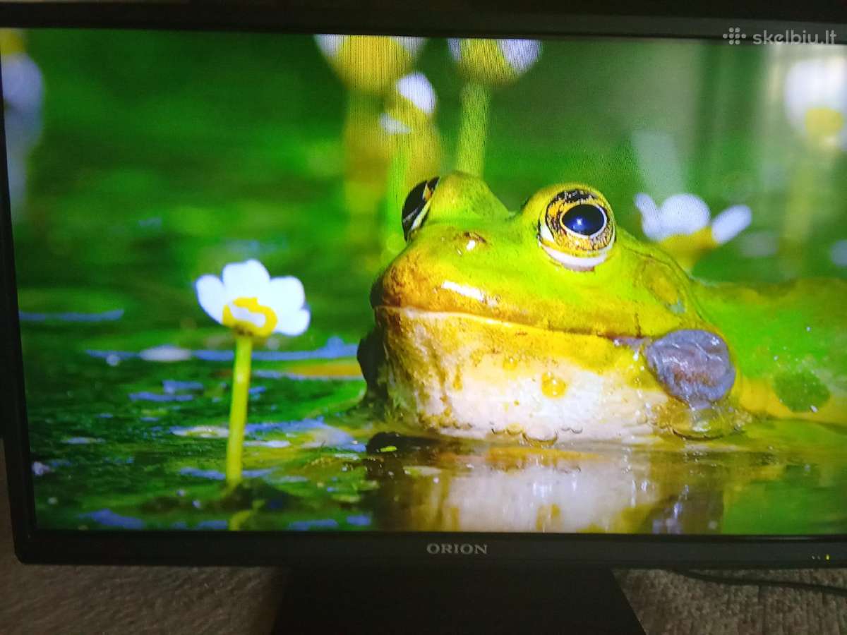 Orion Tv24lb995 LED 61cm. - nuotraukos Nr. 6