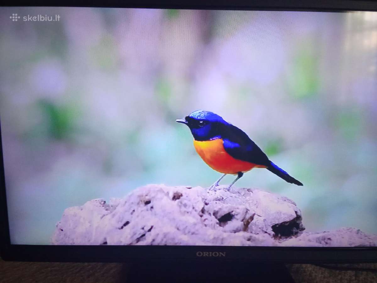 Orion Tv24lb995 LED 61cm. - nuotraukos Nr. 2