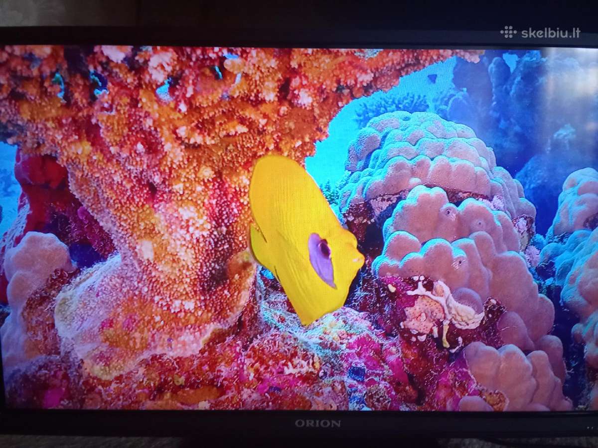 Orion Tv24lb995 LED 61cm. - nuotraukos Nr. 17