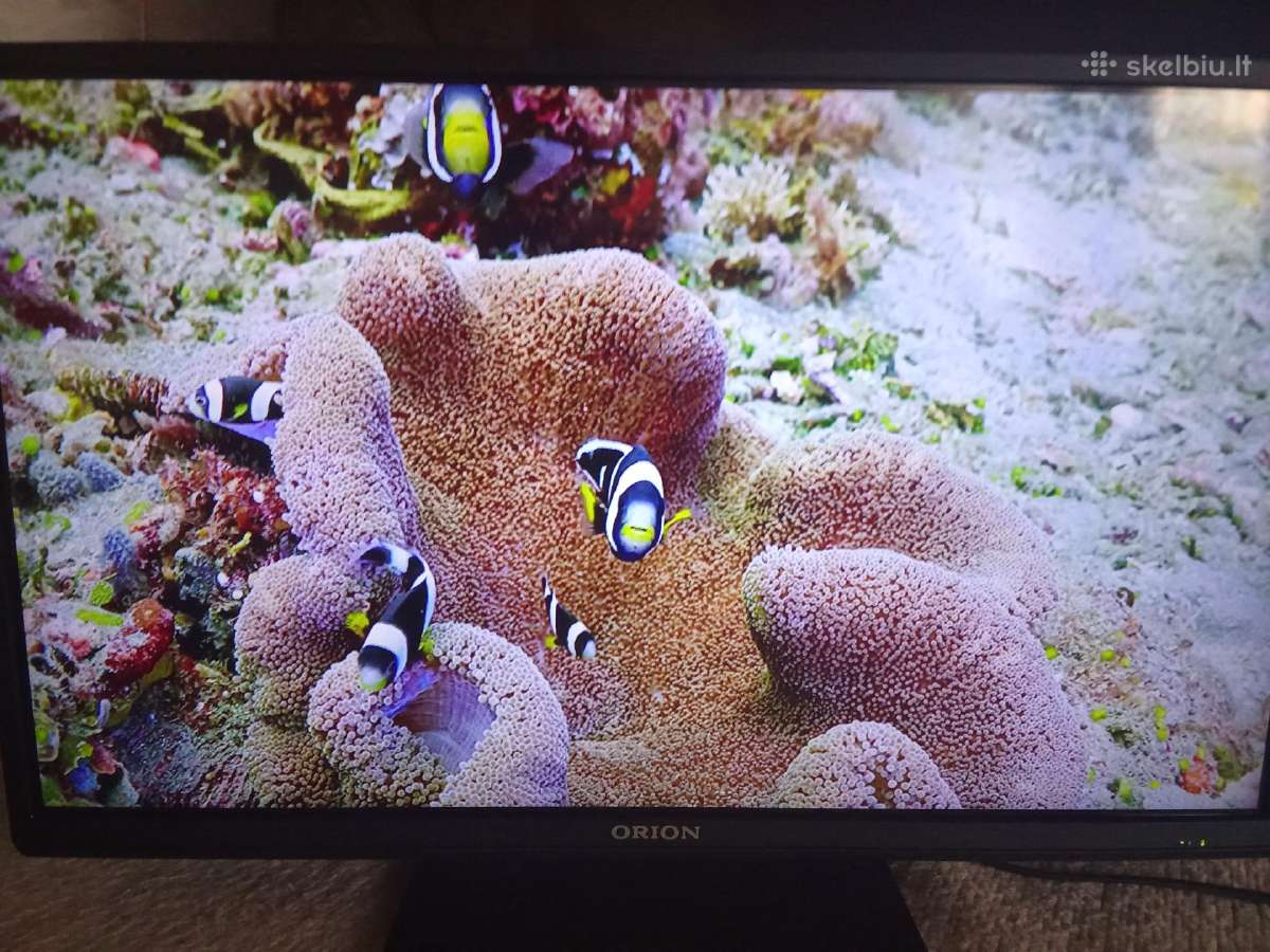 Orion Tv24lb995 LED 61cm. - nuotraukos Nr. 18