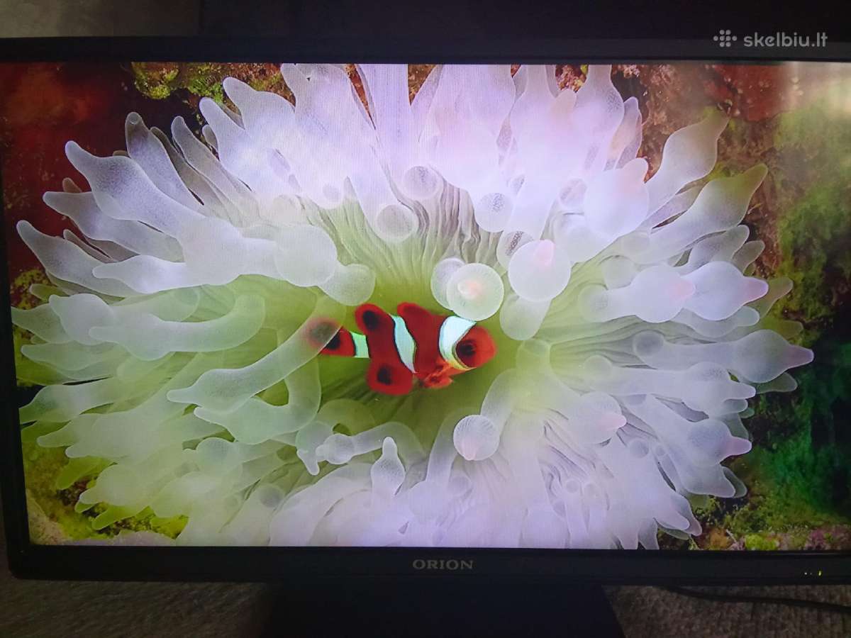 Orion Tv24lb995 LED 61cm. - nuotraukos Nr. 16