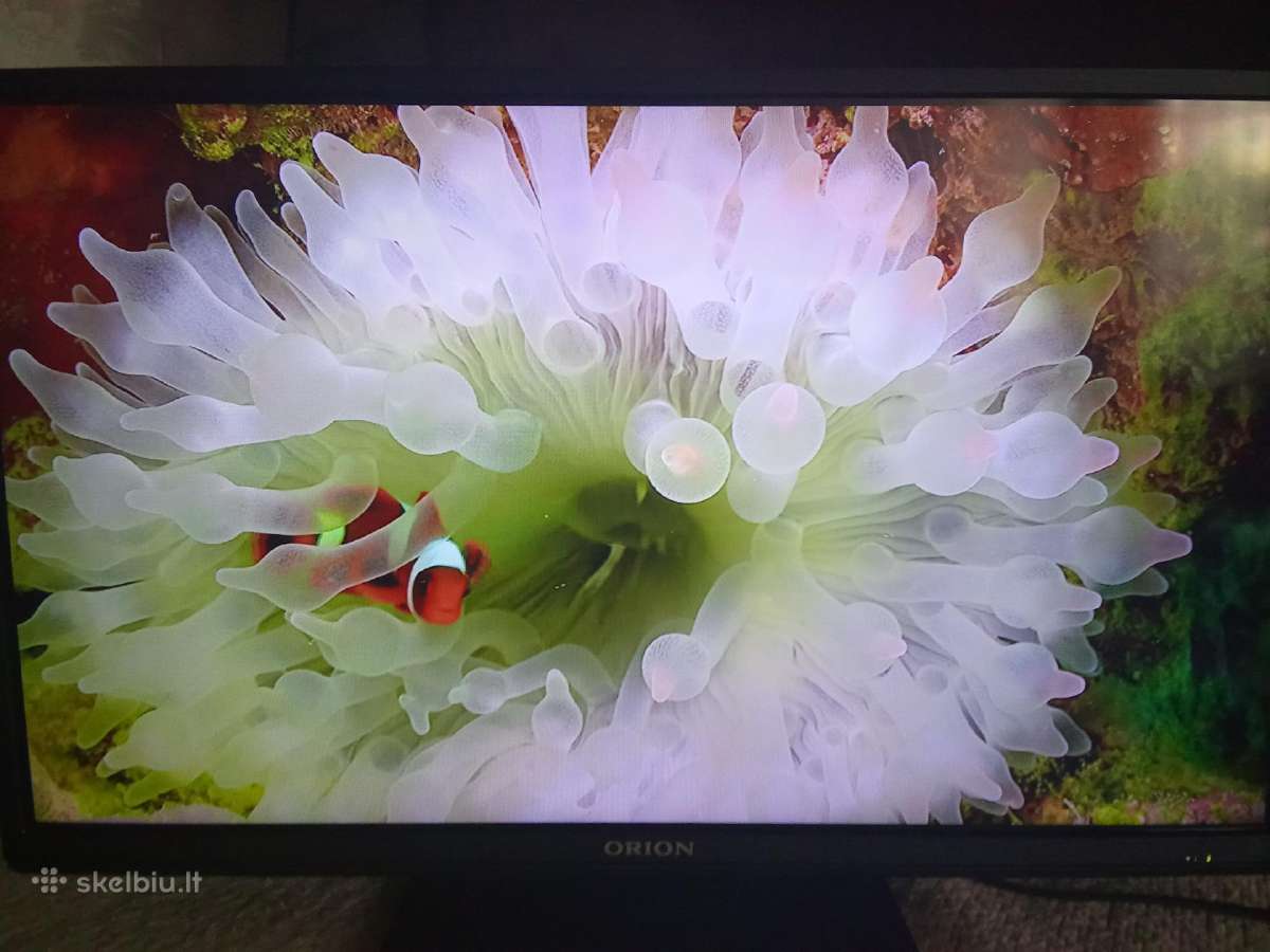 Orion Tv24lb995 LED 61cm. - nuotraukos Nr. 23