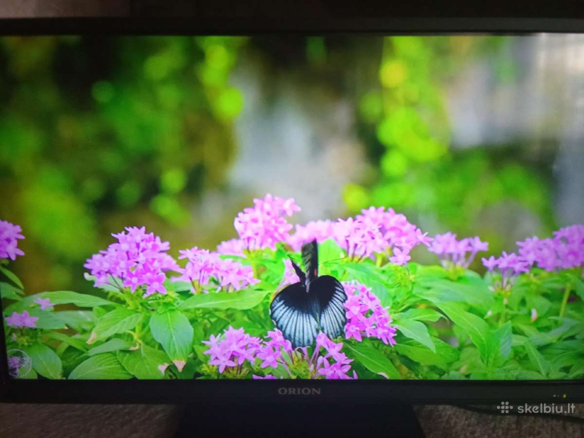 Orion Tv24lb995 LED 61cm. - nuotraukos Nr. 21