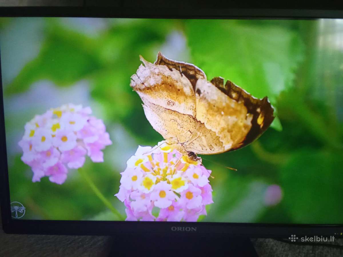 Orion Tv24lb995 LED 61cm. - nuotraukos Nr. 22