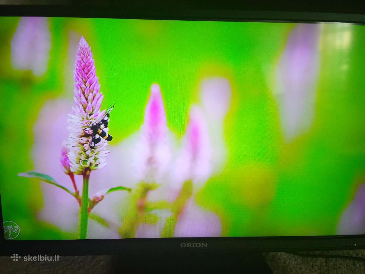 Orion Tv24lb995 LED 61cm. - nuotraukos Nr. 24