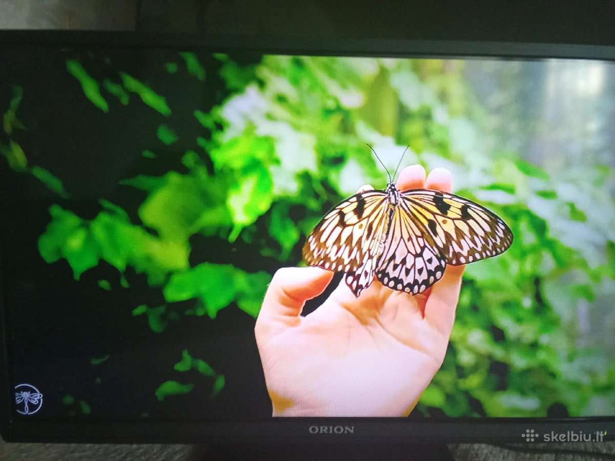 Orion Tv24lb995 LED 61cm. - nuotraukos Nr. 25