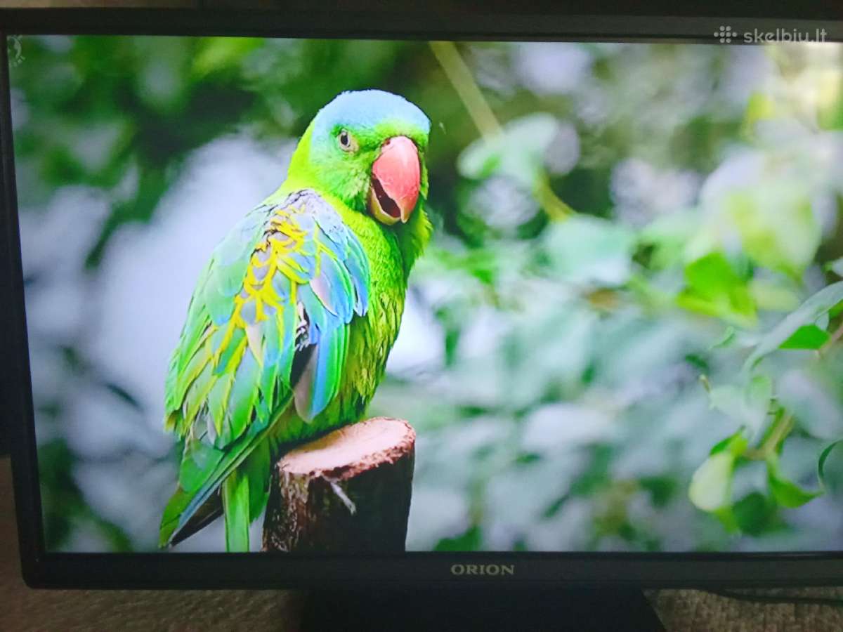 Orion Tv24lb995 LED 61cm. - nuotraukos Nr. 26