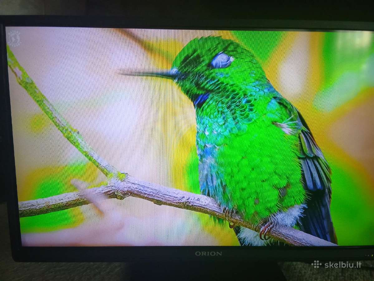 Orion Tv24lb995 LED 61cm. - nuotraukos Nr. 20