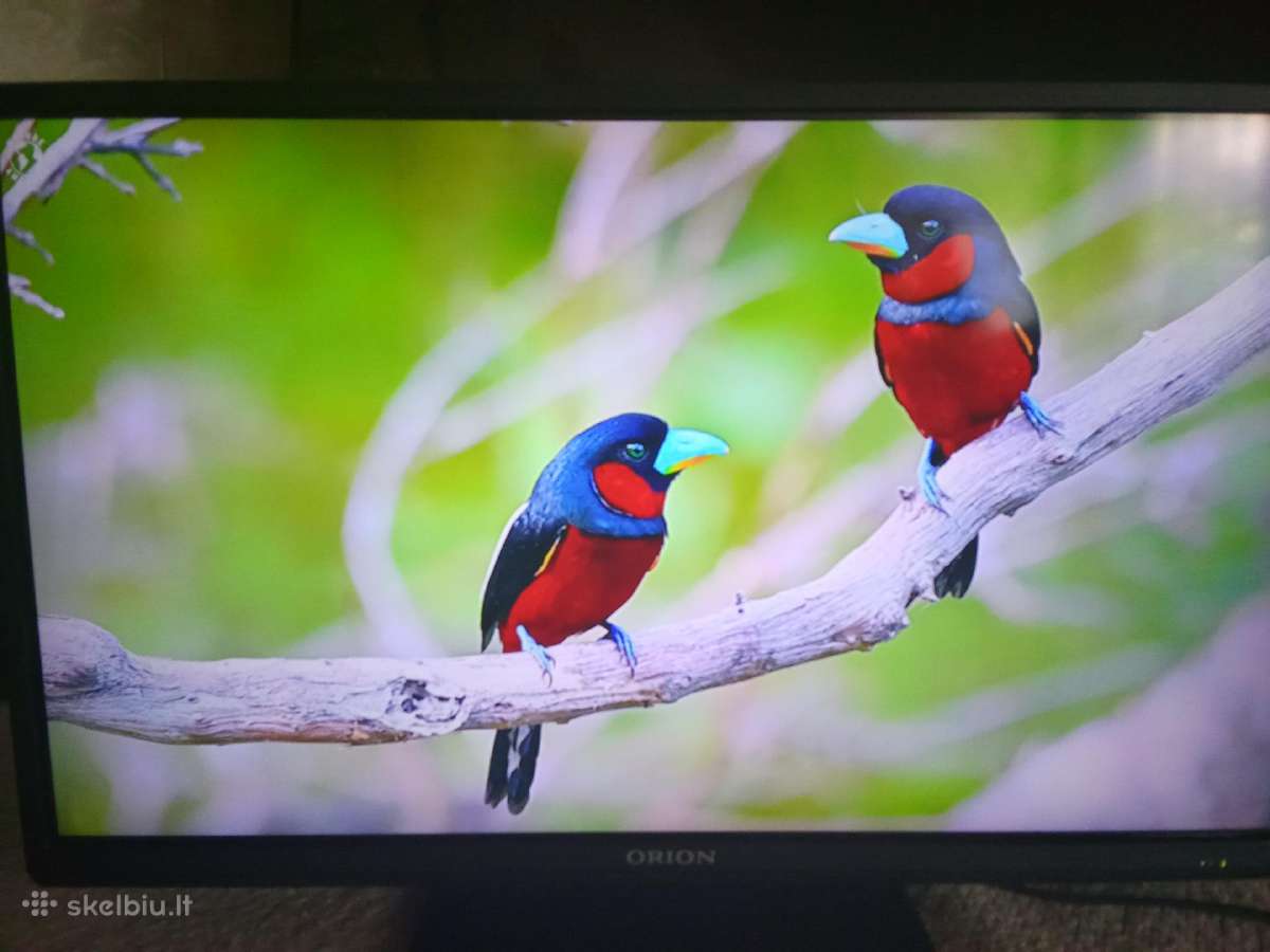 Orion Tv24lb995 LED 61cm. - nuotraukos Nr. 27