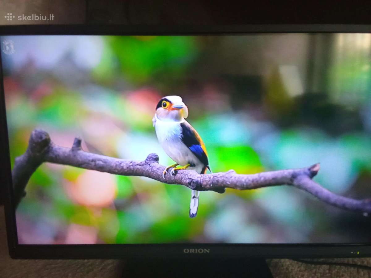 Orion Tv24lb995 LED 61cm. - nuotraukos Nr. 28
