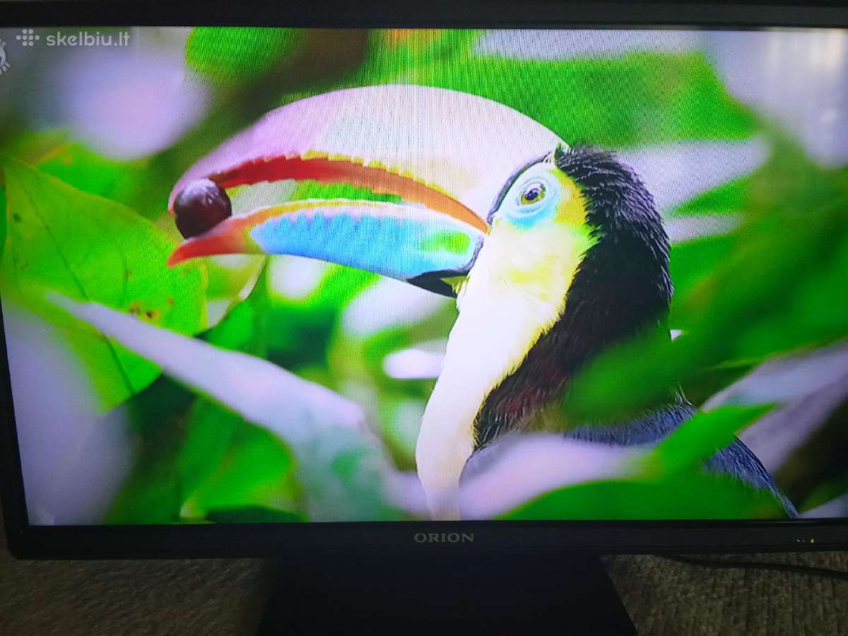 Orion Tv24lb995 LED 61cm. - nuotraukos Nr. 29