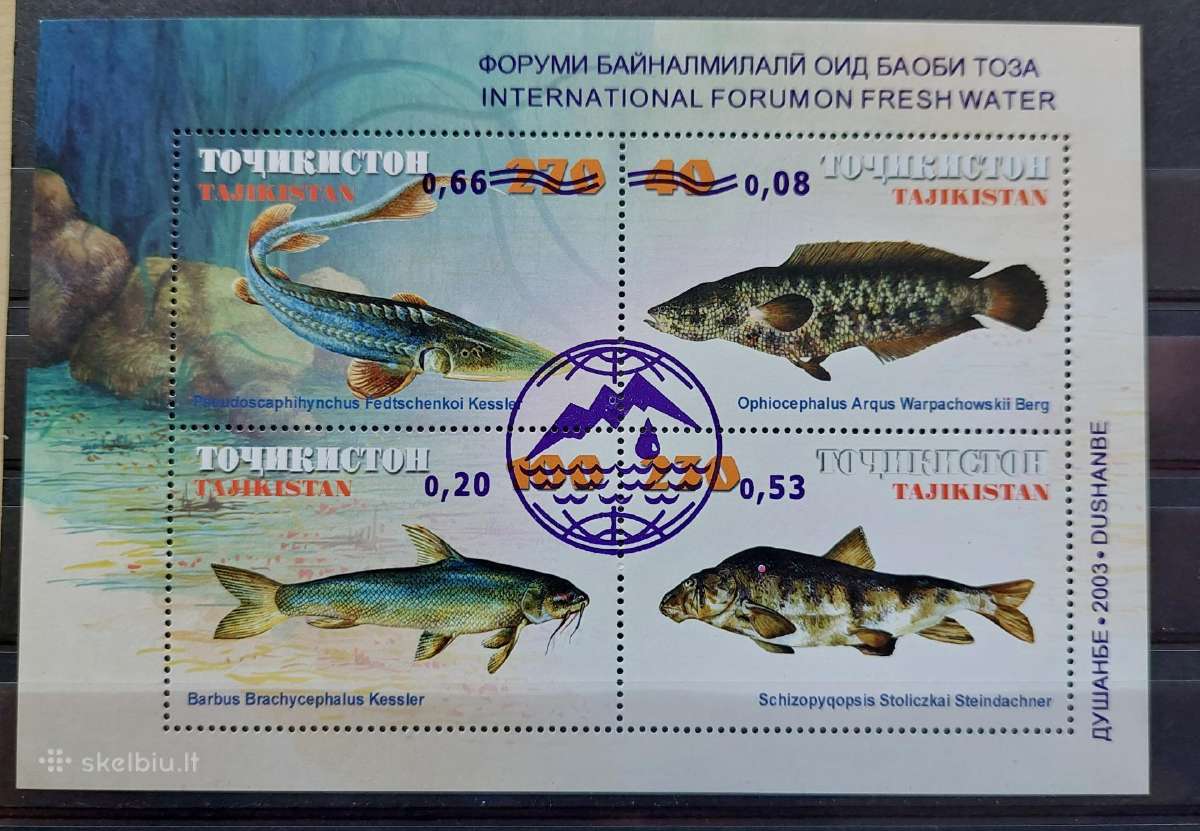 Tadžikistanas 2003 Žuvis, švarus, Michel block 33