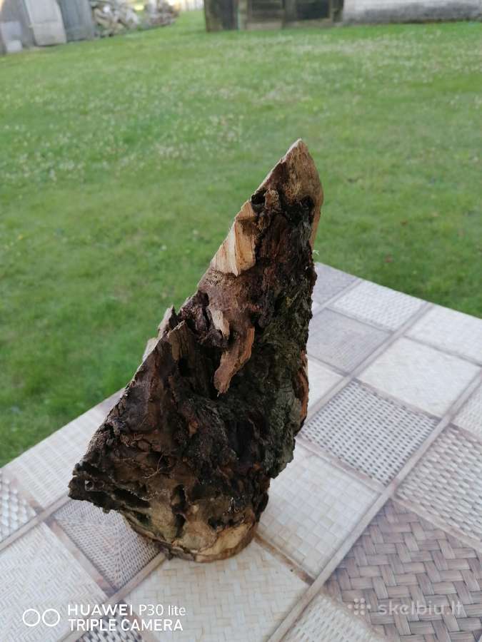 Naturalaus medzio dekoracija, - nuotraukos Nr. 3