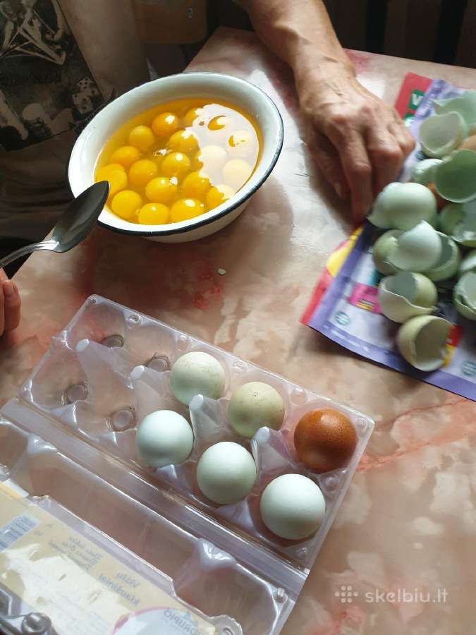 Rinkitės laisvėje auginamų vištų kiaušinius - nuotraukos Nr. 4