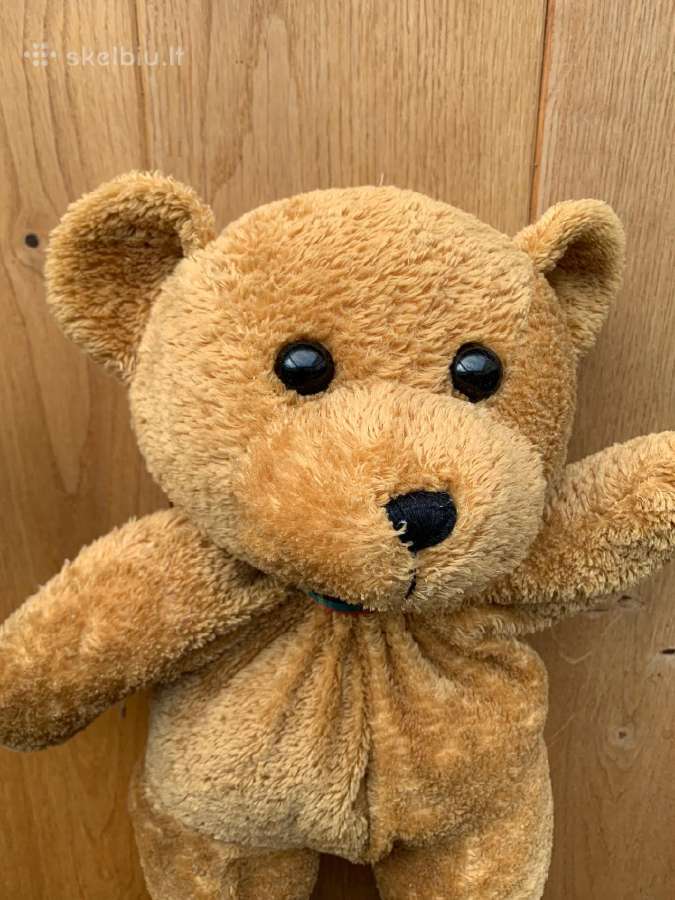 Pliušinis meškiukas, Teddybear, žaislas teddy bear