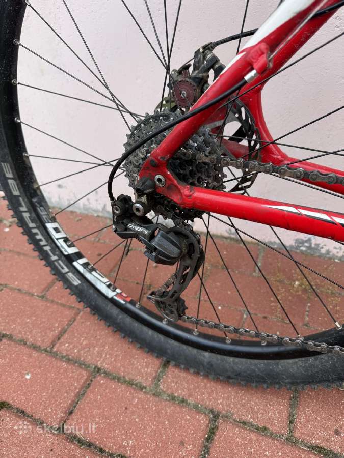Specialized - nuotraukos Nr. 3