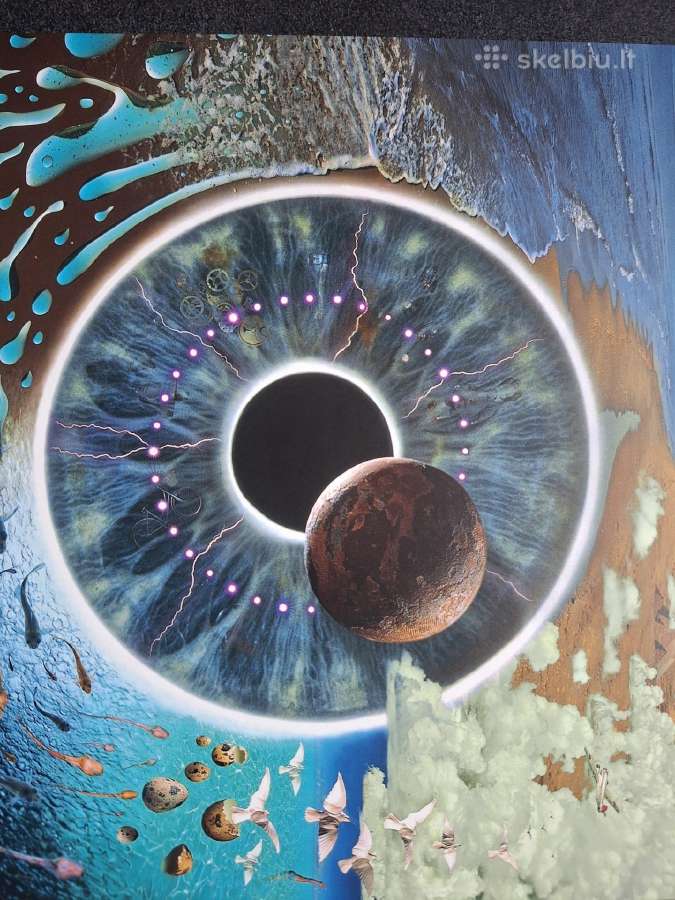 Pink Floyd 1995 Re18“ Pulse Box
