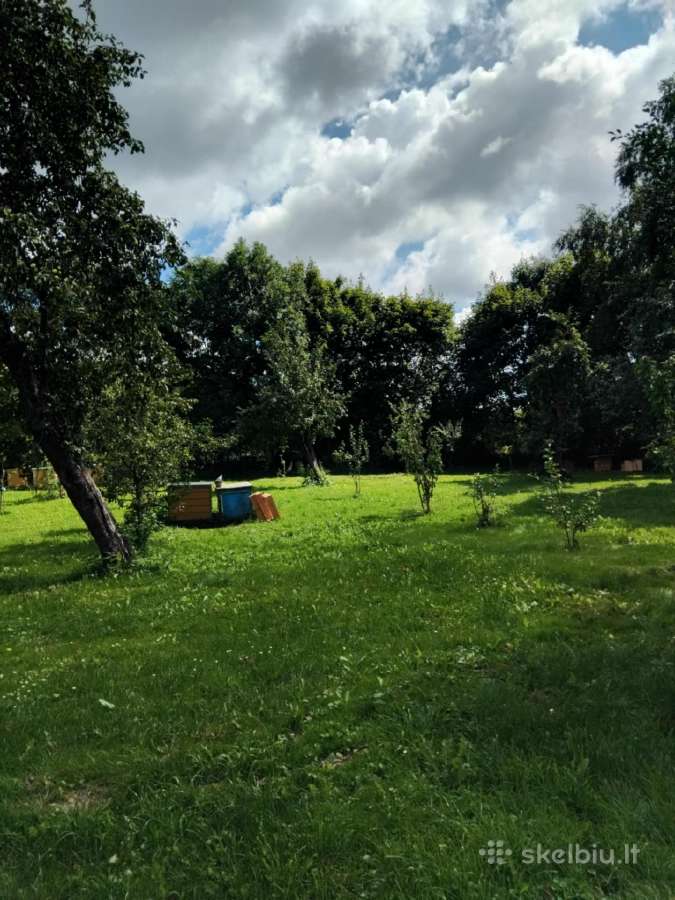 Namas su 3,00 ha žemės sklypu - nuotraukos Nr. 6