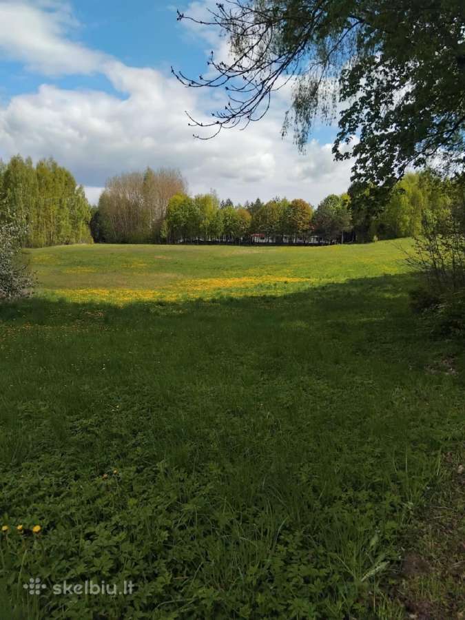 Namas su 3,00 ha žemės sklypu - nuotraukos Nr. 7