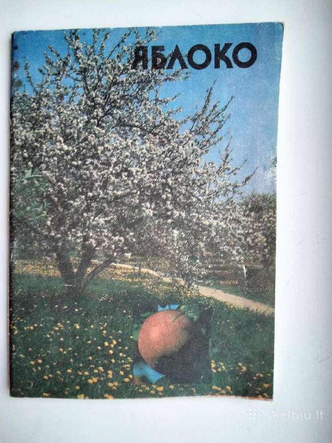Obuoliai mūsų stalui - nuotraukos Nr. 14