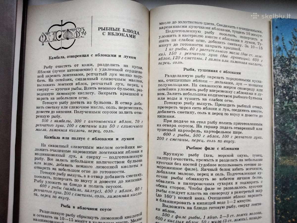 Obuoliai mūsų stalui - nuotraukos Nr. 7