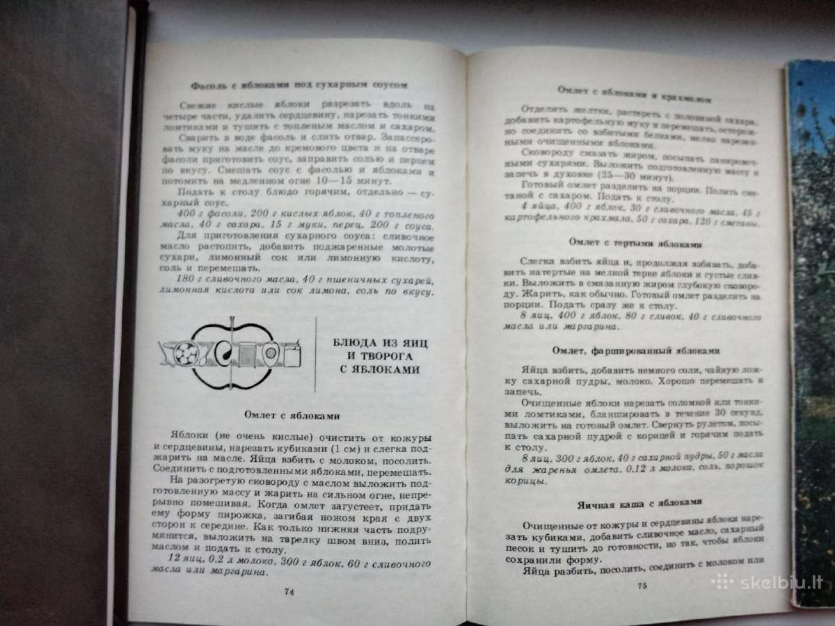 Obuoliai mūsų stalui - nuotraukos Nr. 8