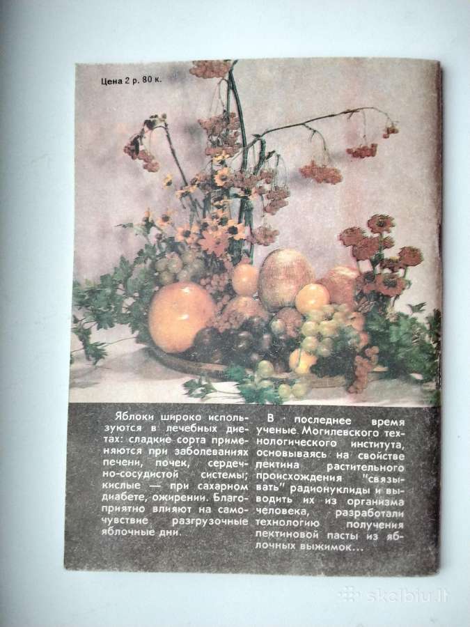 Obuoliai mūsų stalui - nuotraukos Nr. 26