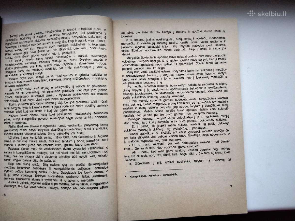 Kraševskis. Karalių motina. 1-2 d. - nuotraukos Nr. 6