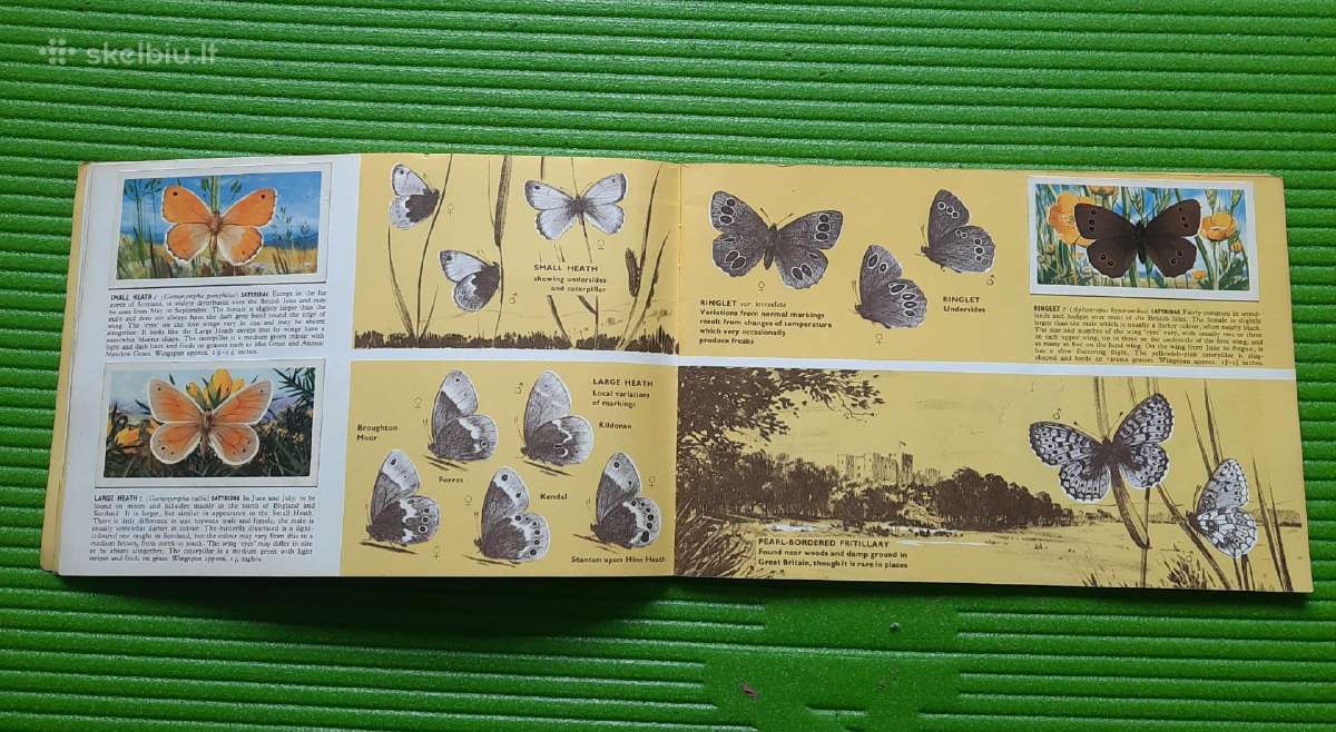 Arbatos kortelės British Butterflies (1927m) - nuotraukos Nr. 4