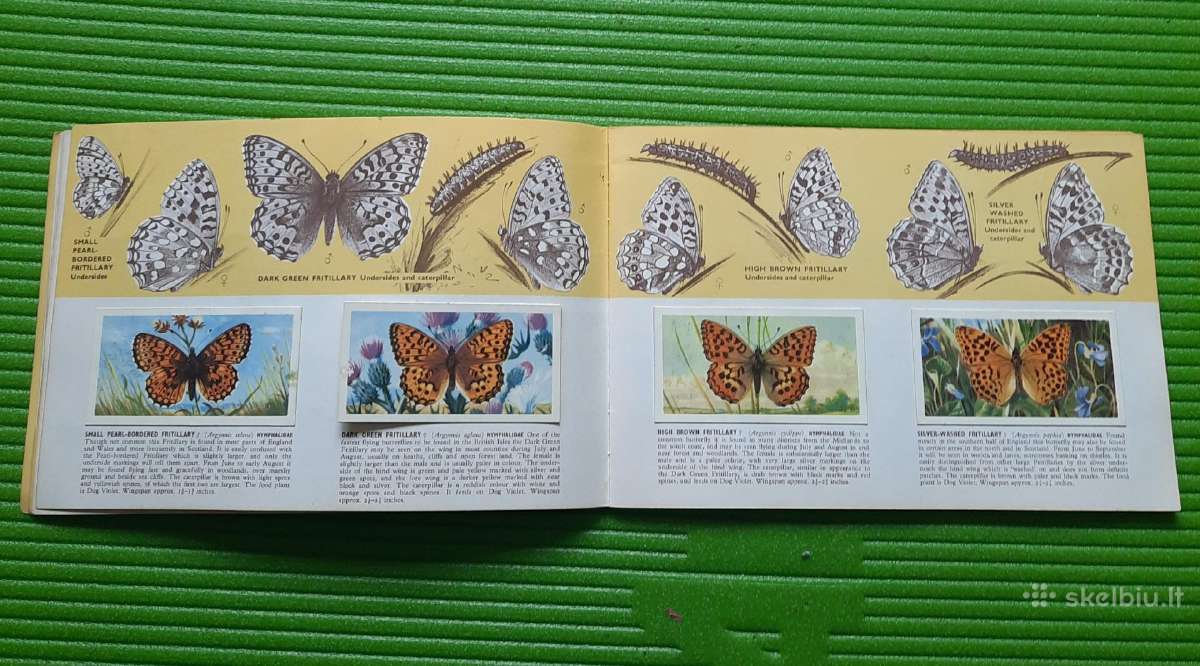 Arbatos kortelės British Butterflies (1927m) - nuotraukos Nr. 5
