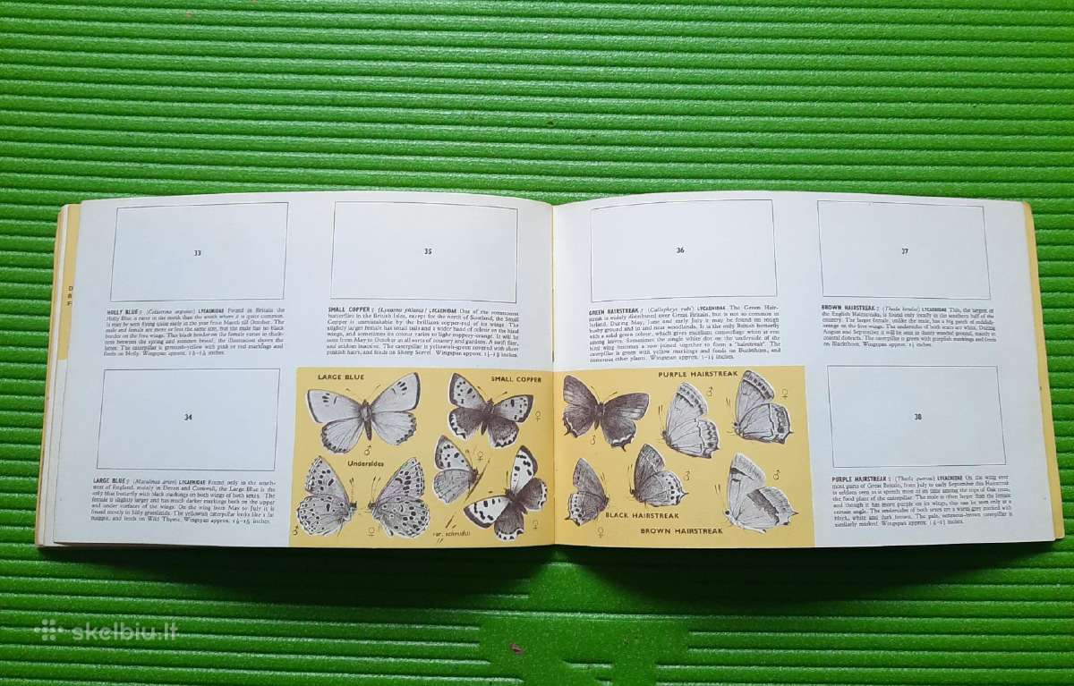 Arbatos kortelės British Butterflies (1927m) - nuotraukos Nr. 10