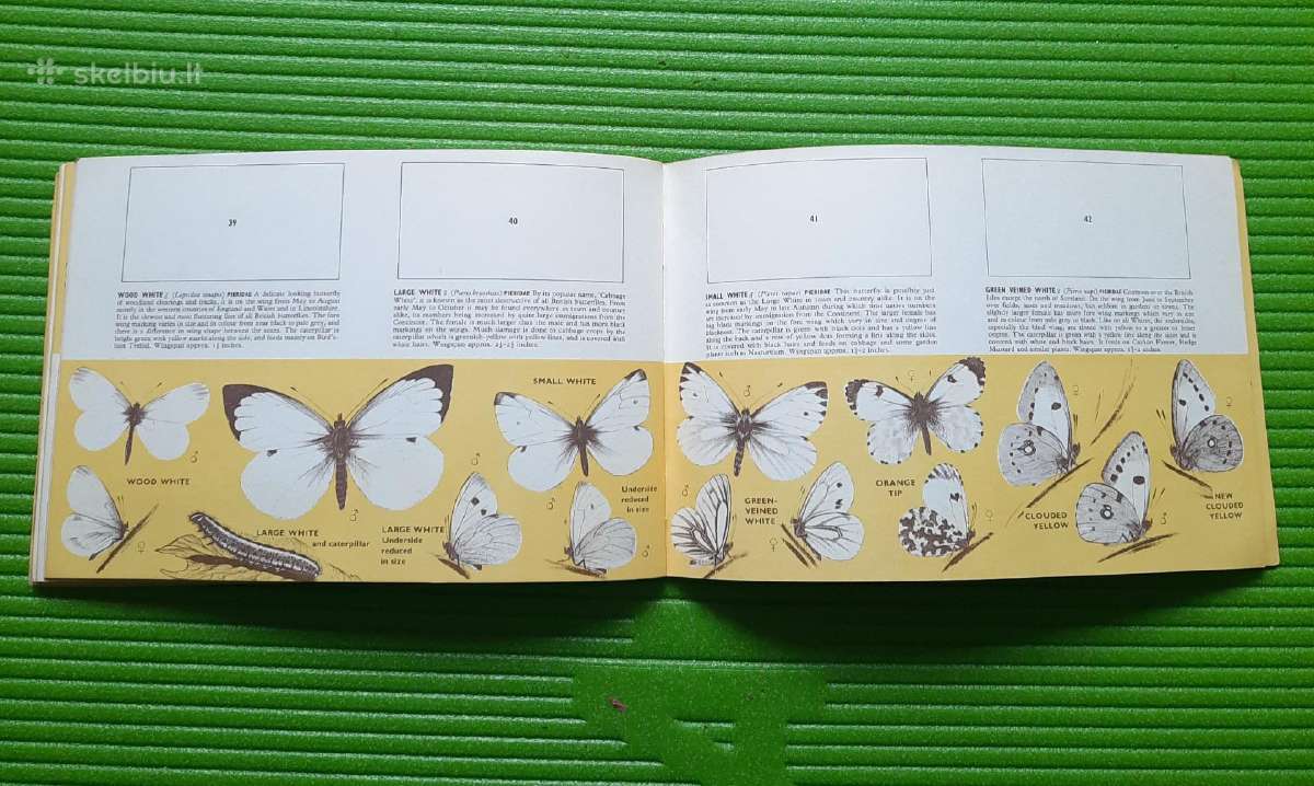 Arbatos kortelės British Butterflies (1927m) - nuotraukos Nr. 11