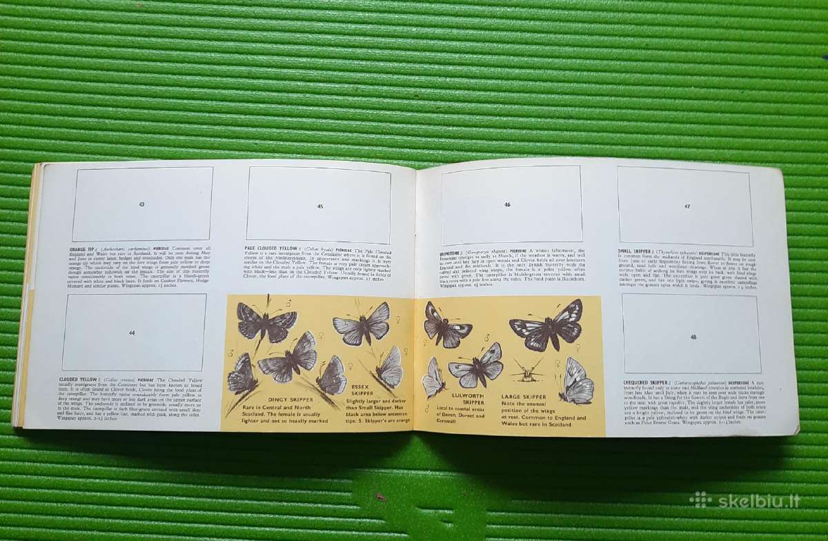 Arbatos kortelės British Butterflies (1927m) - nuotraukos Nr. 12