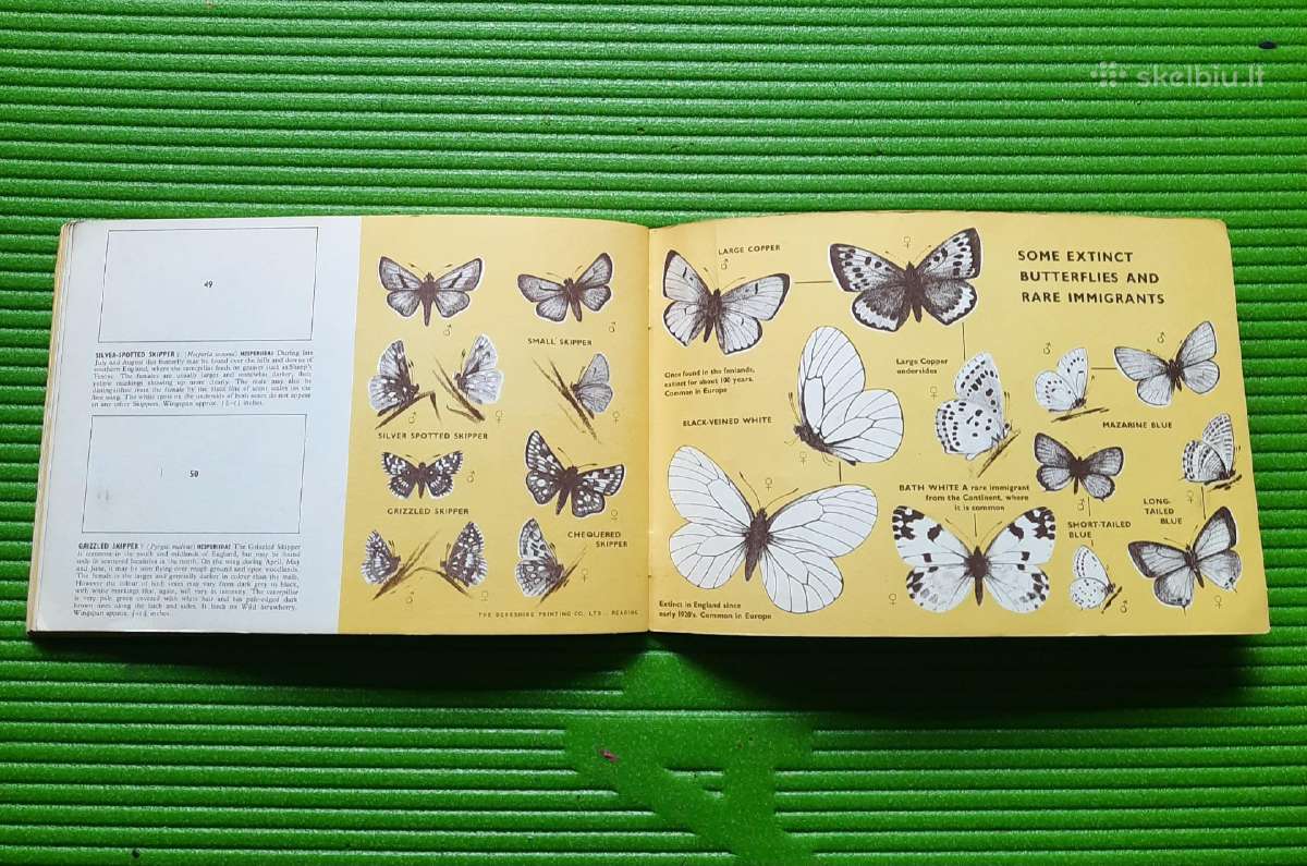 Arbatos kortelės British Butterflies (1927m) - nuotraukos Nr. 13