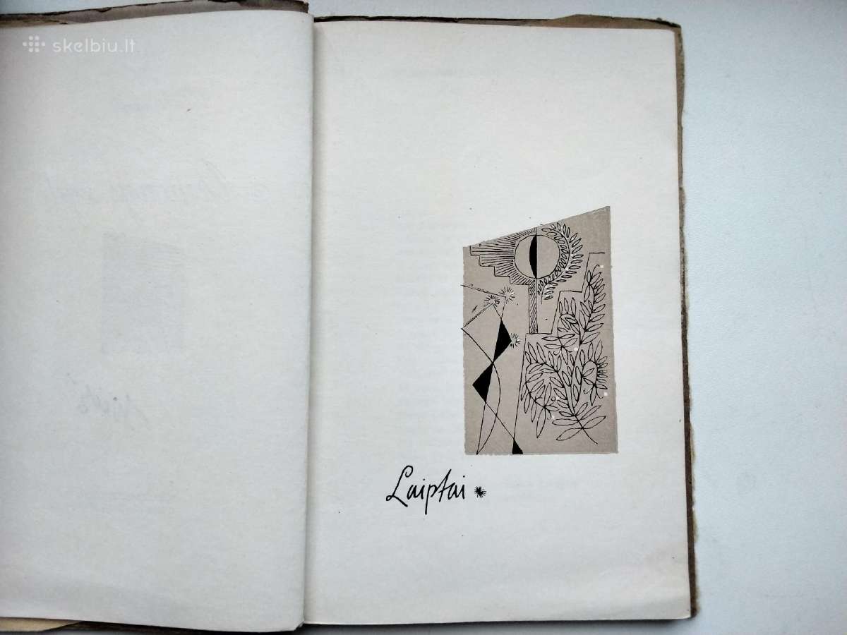 V. Palčinskaitė. Akmenys žydi. 1963 m. leid. - nuotraukos Nr. 3