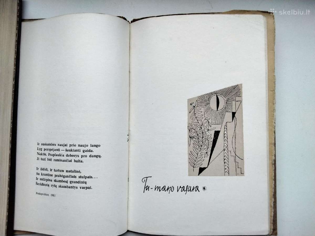 V. Palčinskaitė. Akmenys žydi. 1963 m. leid. - nuotraukos Nr. 7