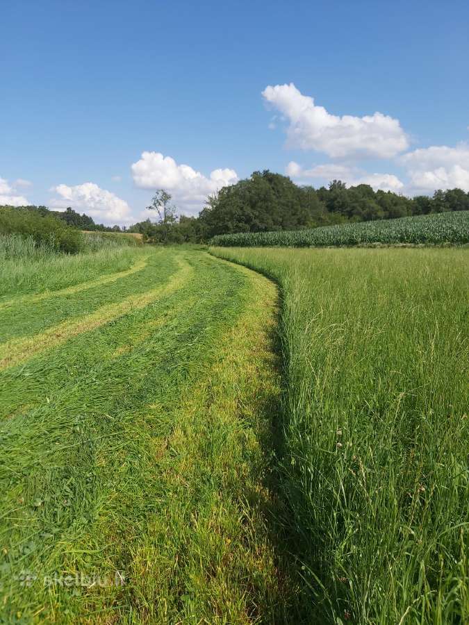 Šiaudų rulonai, šienainio rulonai - nuotraukos Nr. 4