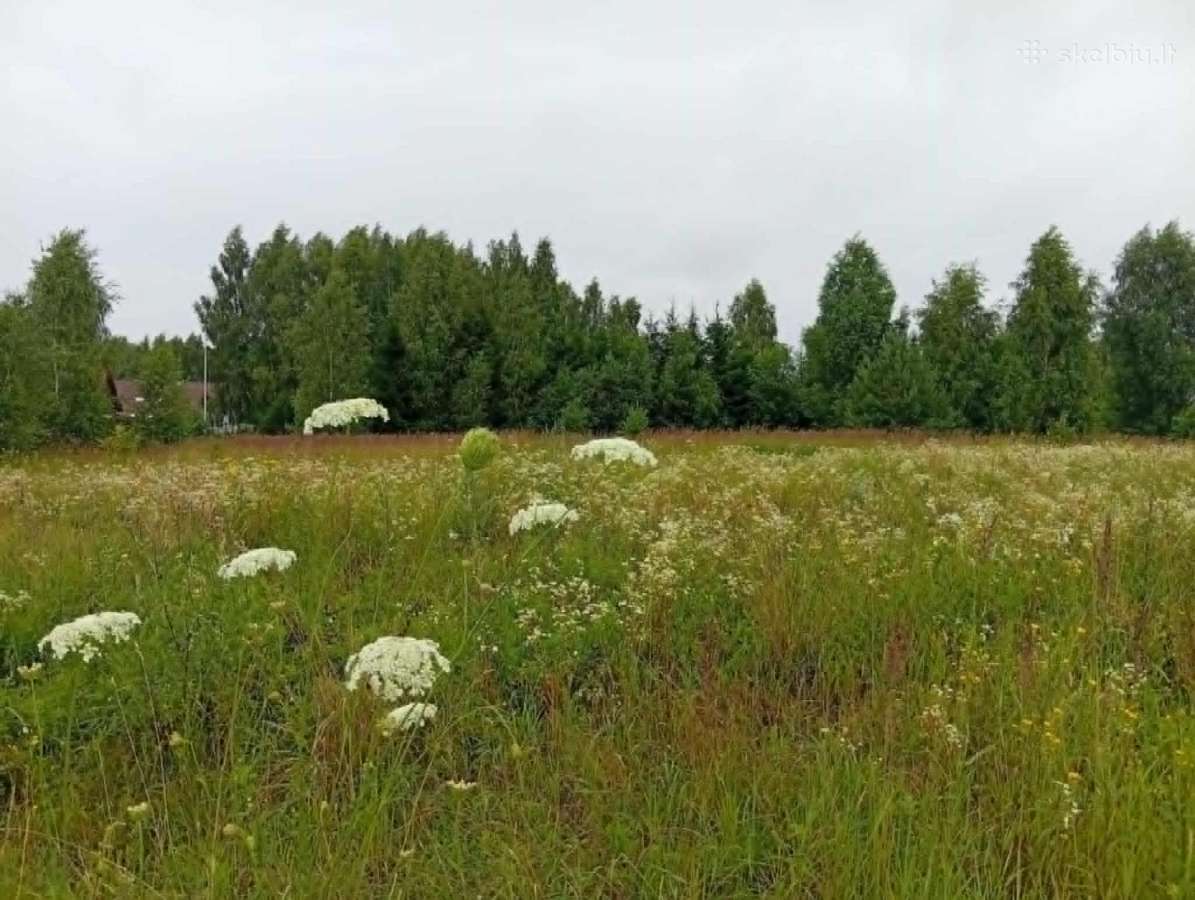 Sklypas Klaipėdos rajone, netoli Gargždų - nuotraukos Nr. 5