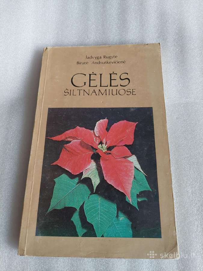 Gėlės šiltnamiuose