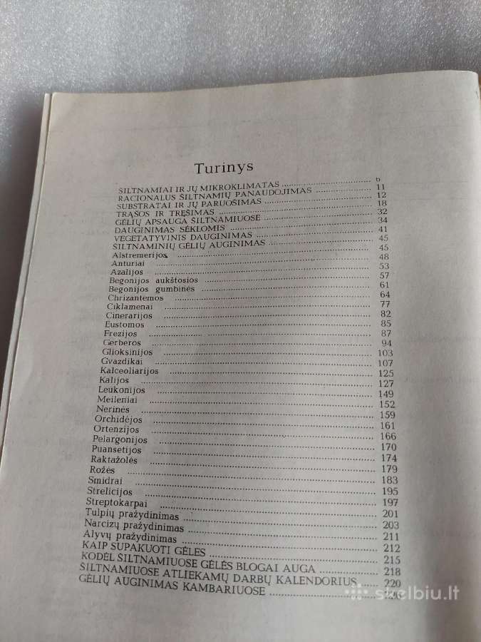 Gėlės šiltnamiuose - nuotraukos Nr. 7