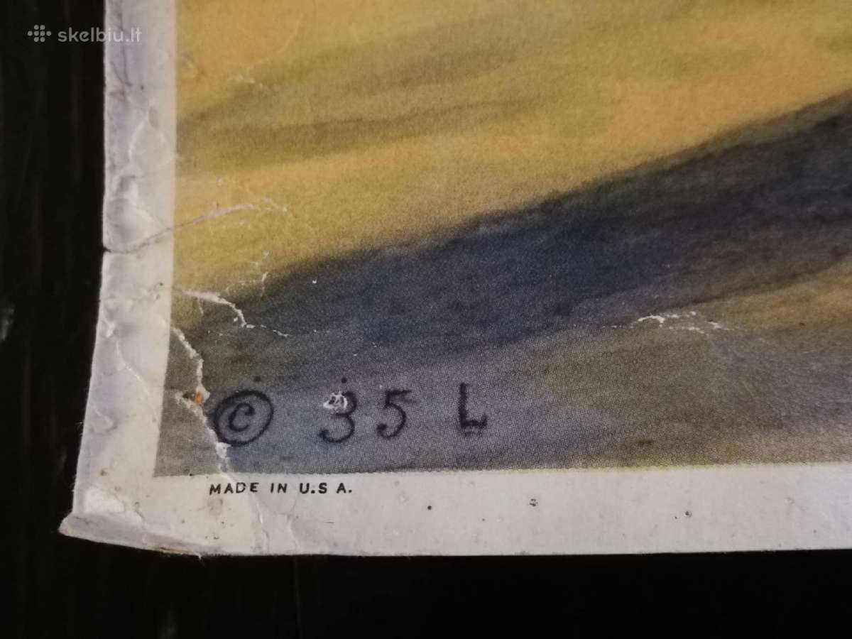 Prieskaris plakatas darius ir girenas - nuotraukos Nr. 2