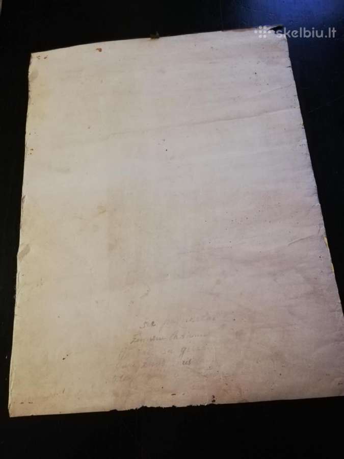 Prieskaris plakatas darius ir girenas - nuotraukos Nr. 3