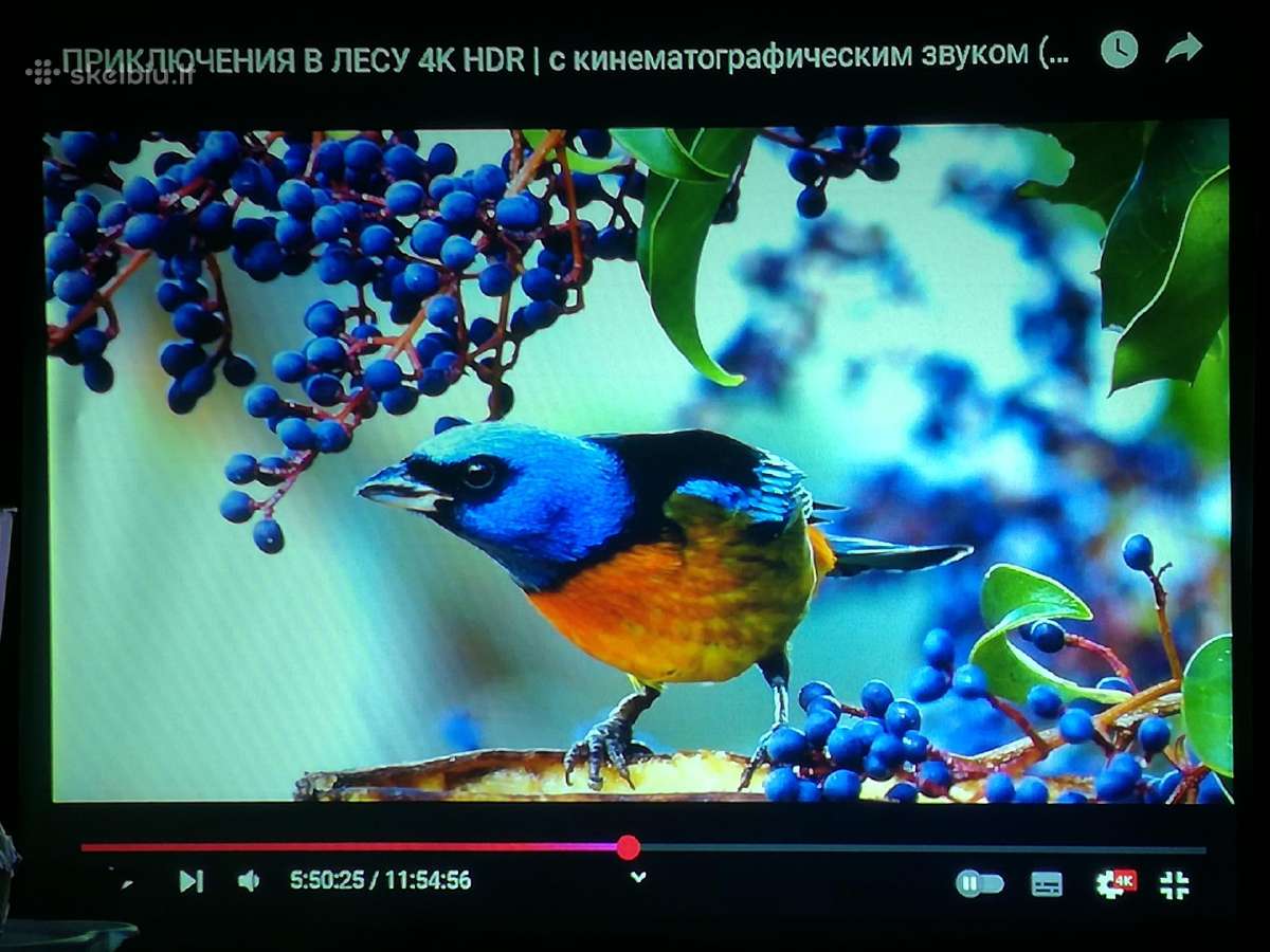 Projektorius Ask Proxima C3257 3lcd HD 2700 Ansi - nuotraukos Nr. 12