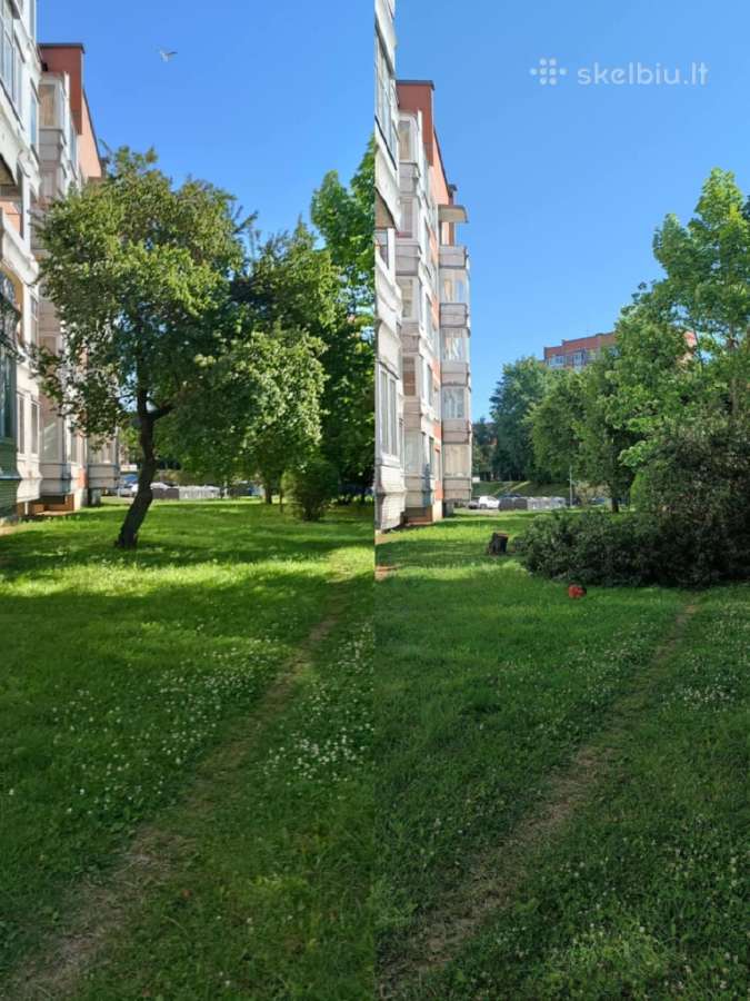 Medžių pjovimas, genėjimas, žolės pjovimas - nuotraukos Nr. 23