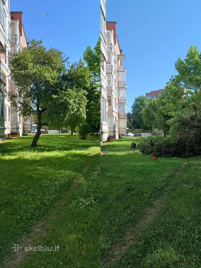Medžių pjovimas, genėjimas, žolės pjovimas - nuotraukos Nr. 22