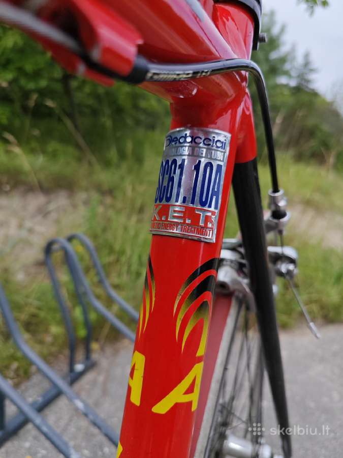 Plento sportinis vintage Carbon - nuotraukos Nr. 2